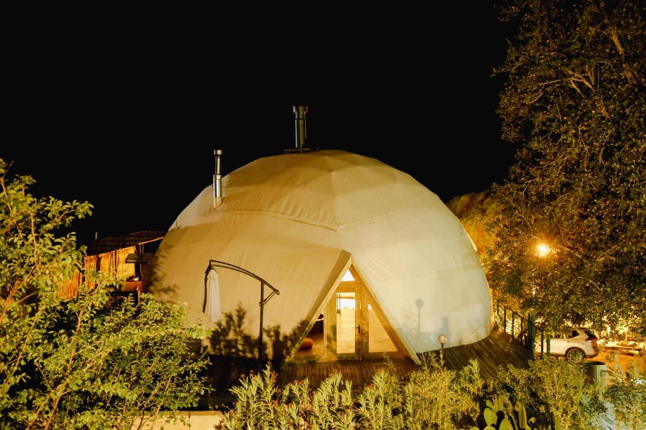 Milodge Elqui Domos Піско-Елькі Екстер'єр фото